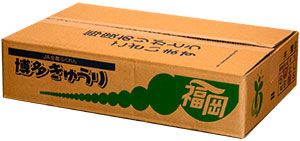 商品番号：008（5kgキュウリ）